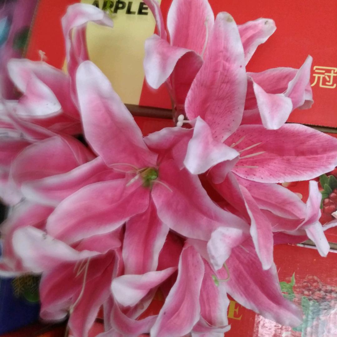 我就是一滩烂泥