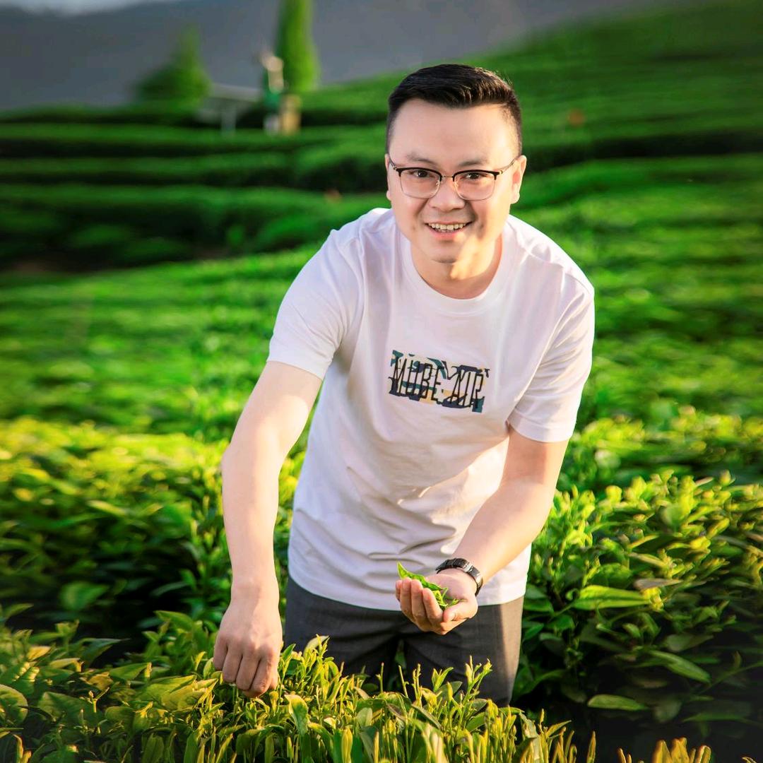 但哥茶叶供应链