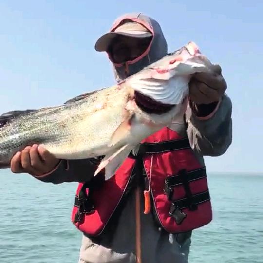 咣咣钓鱼（暴躁版）