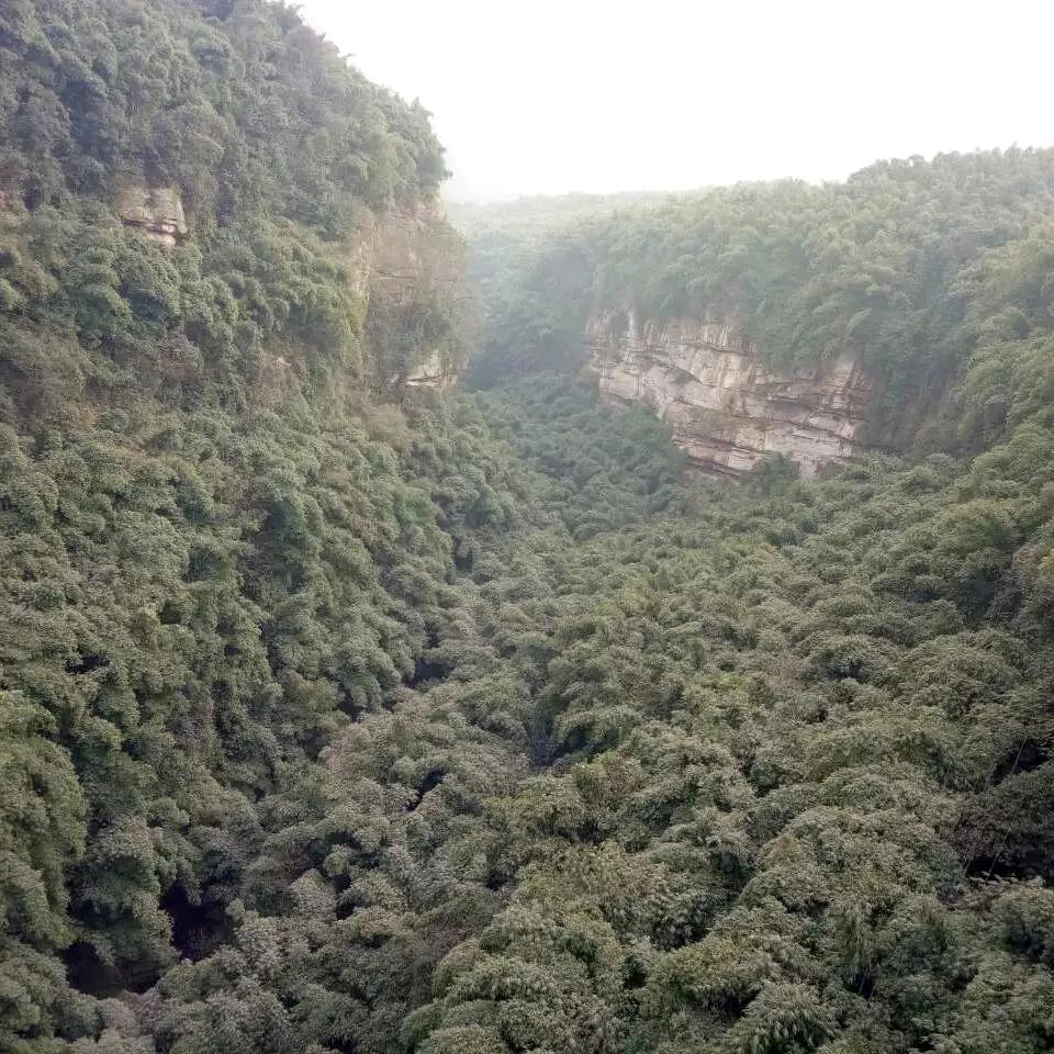 ღ᭄ꦿ 愿一生有你ღ⁵²º᭄এ