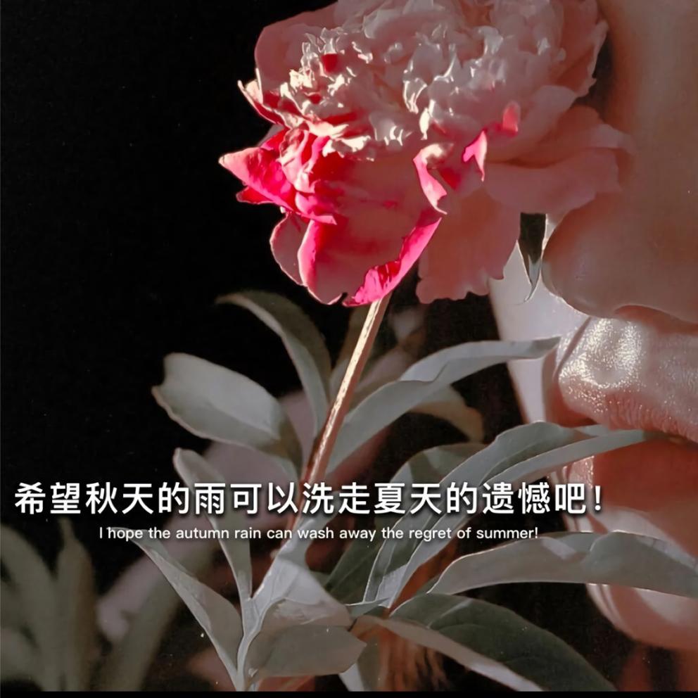 爱谁谁。。