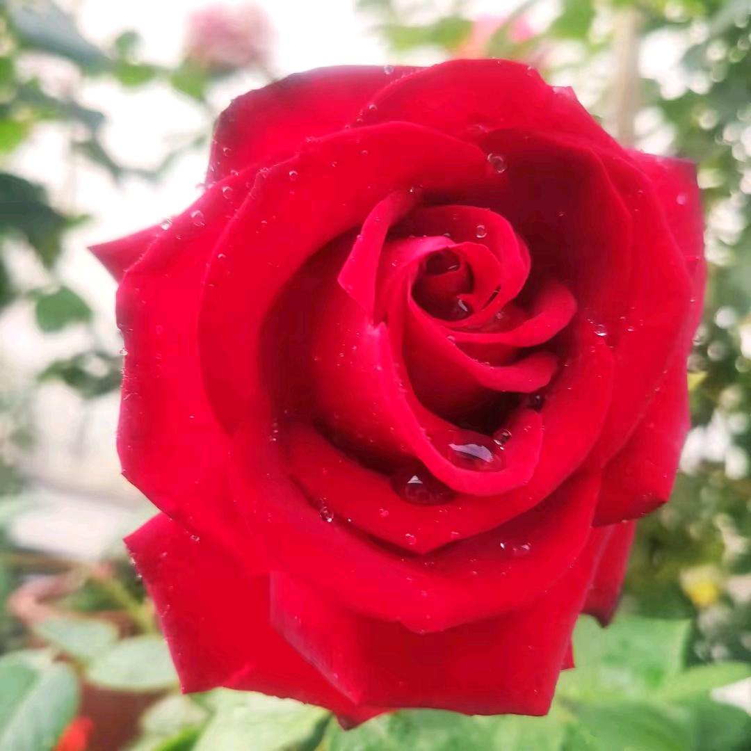 ❥下个路口再见吧