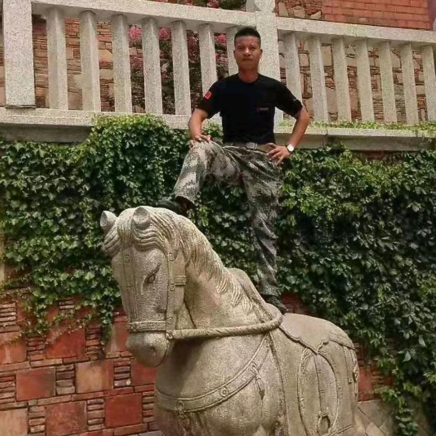 乘风破浪骆驼