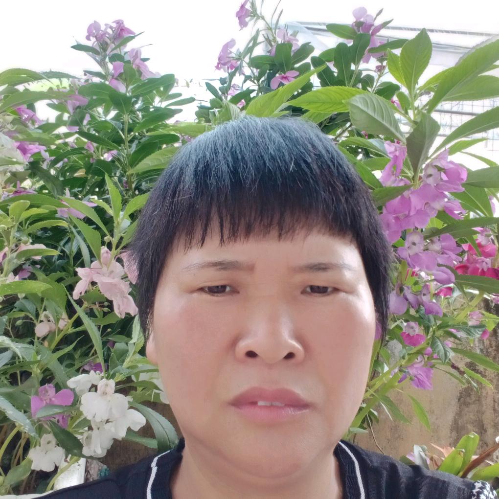小英姐