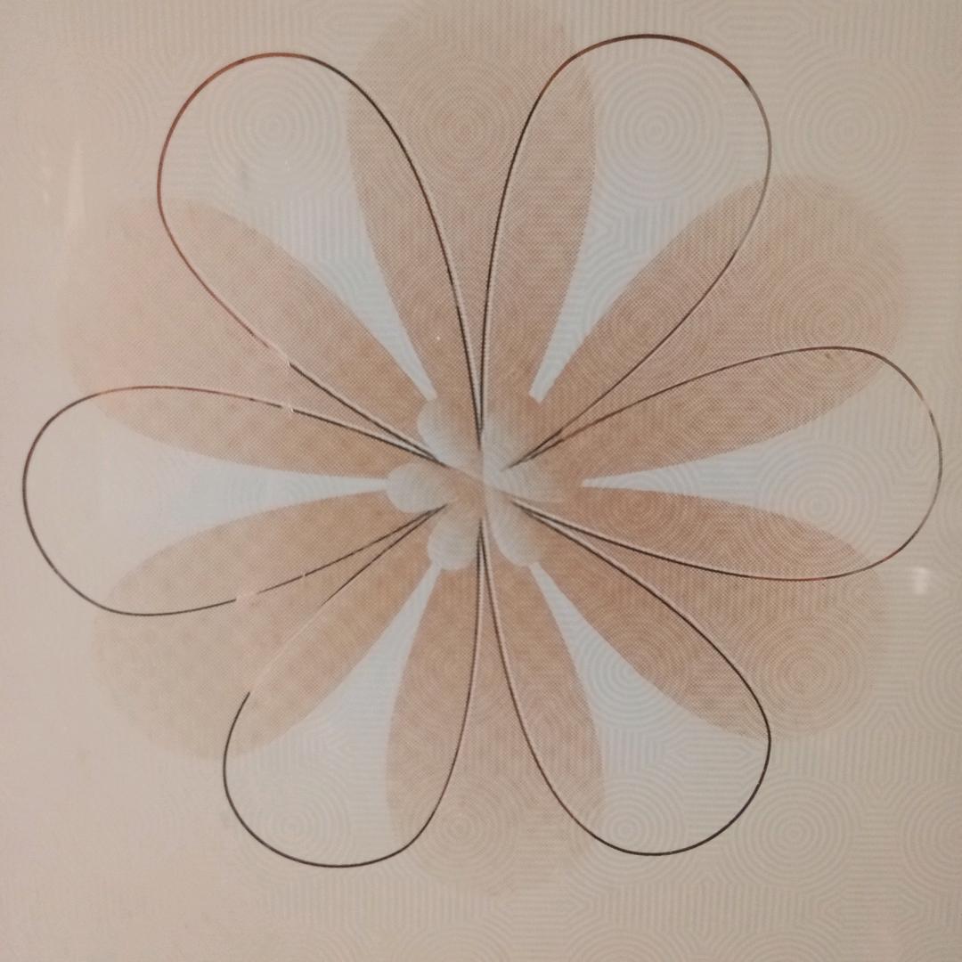 面向未来