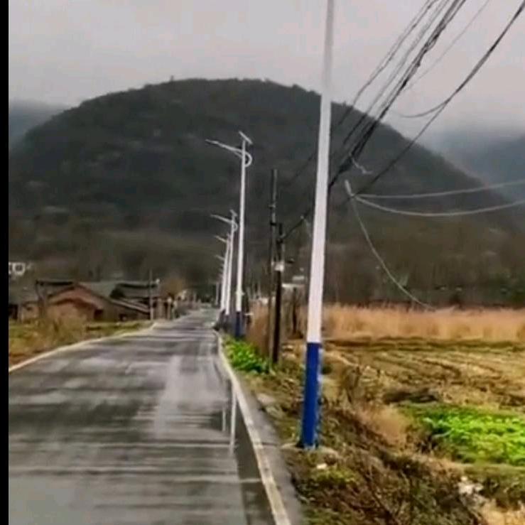 平安喜乐🐷🍒