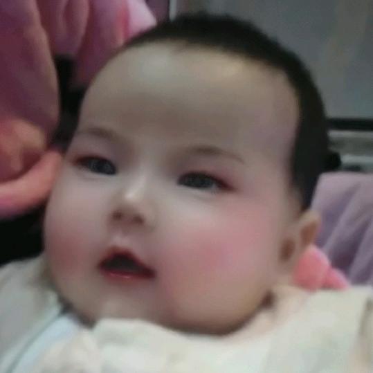 chengge成哥