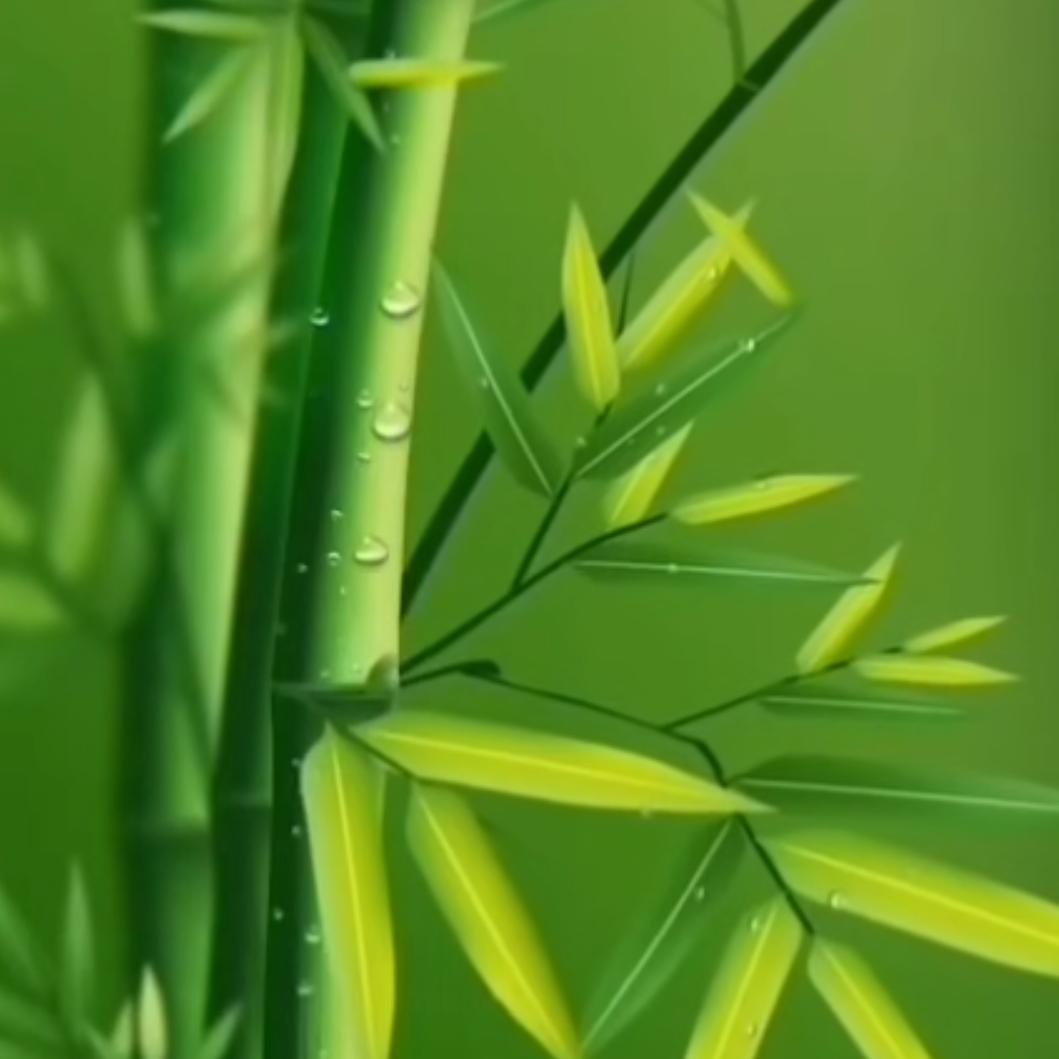 与你同行