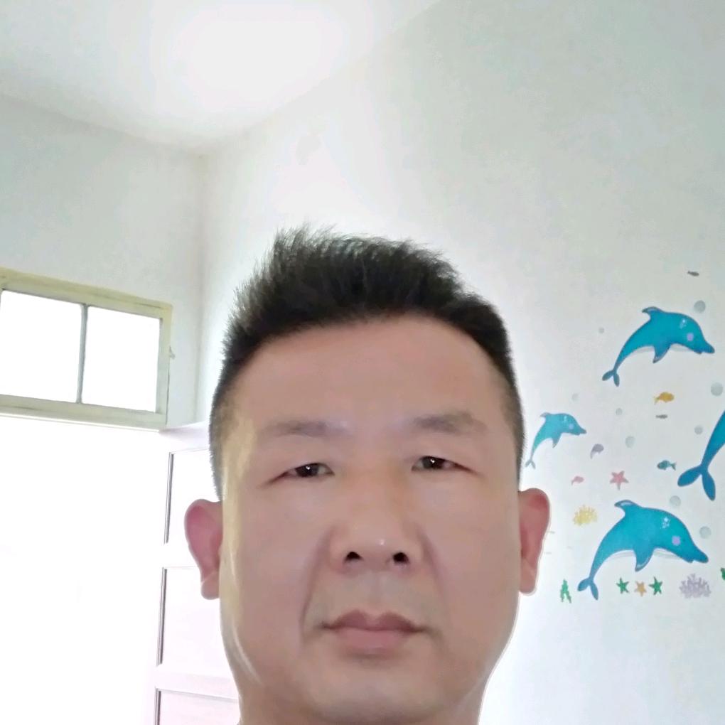猪猪侠。