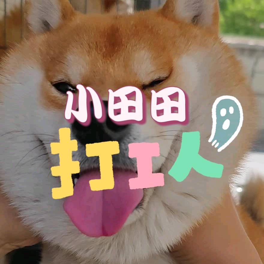 装修工长小田田