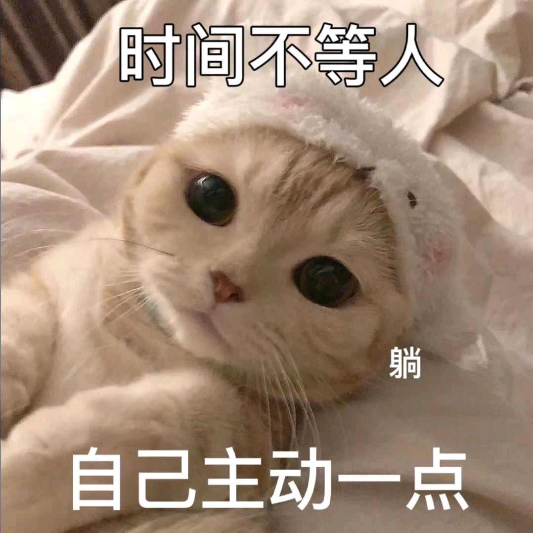 大不溜小咸鱼