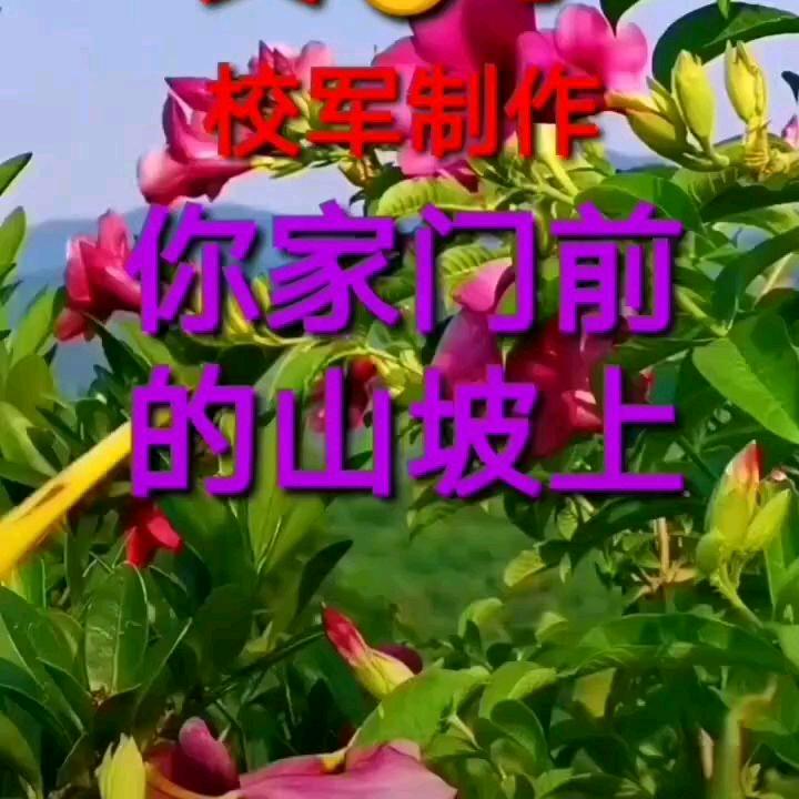 青山万水总是情？