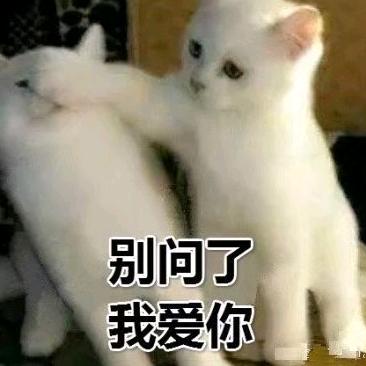 孙雨彤♥