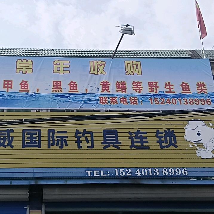 狸桥风行钓具