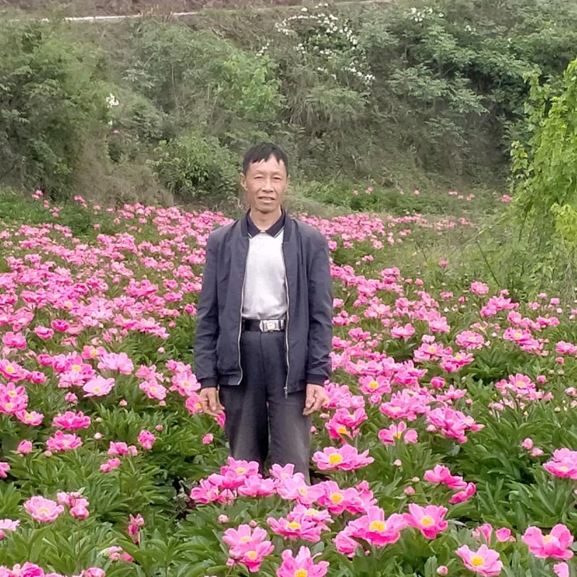 慈心人一红哥