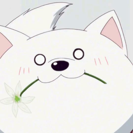 白狗