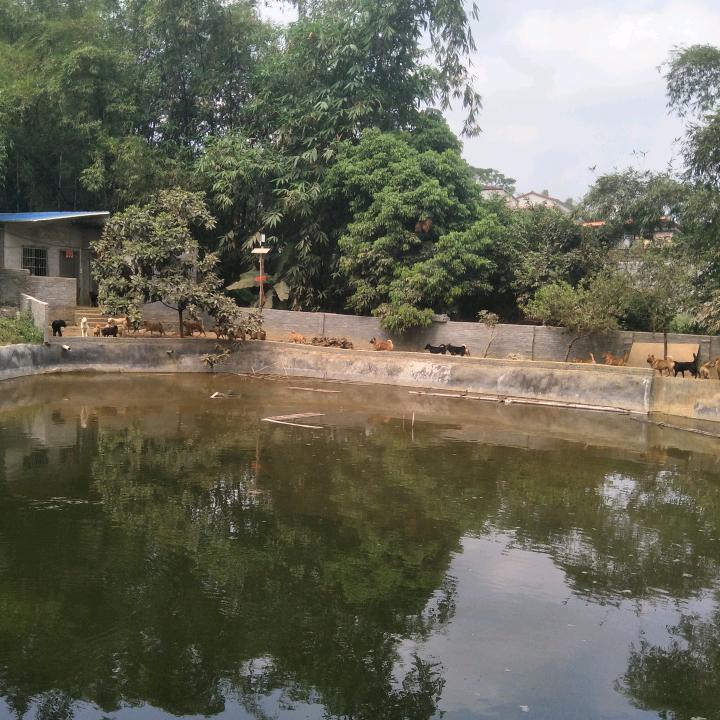 生哥yu