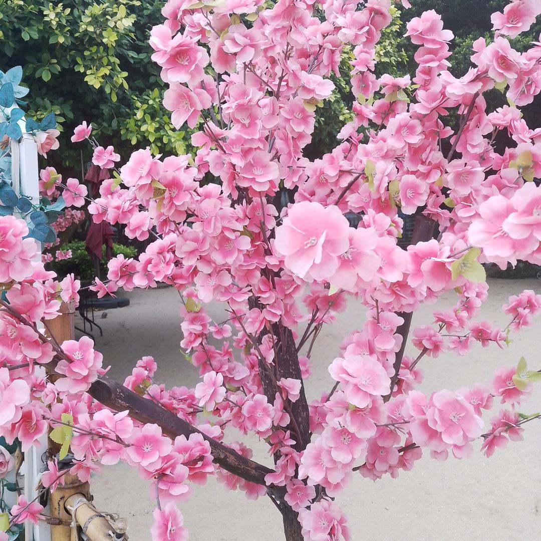 小芳芳