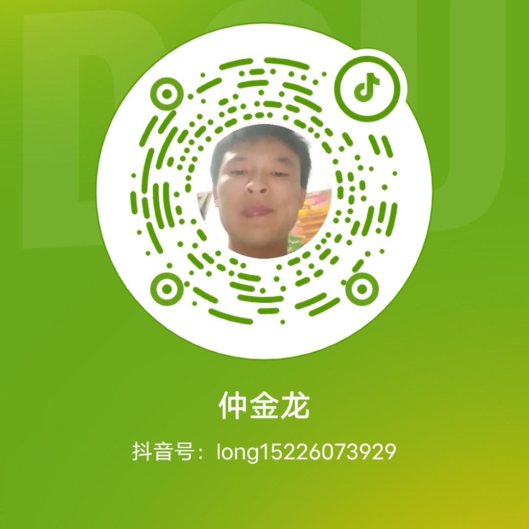 仲金龙