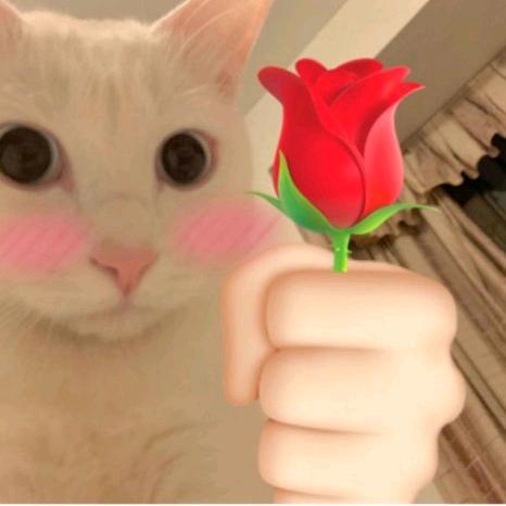 重生之我是188黑皮体育生