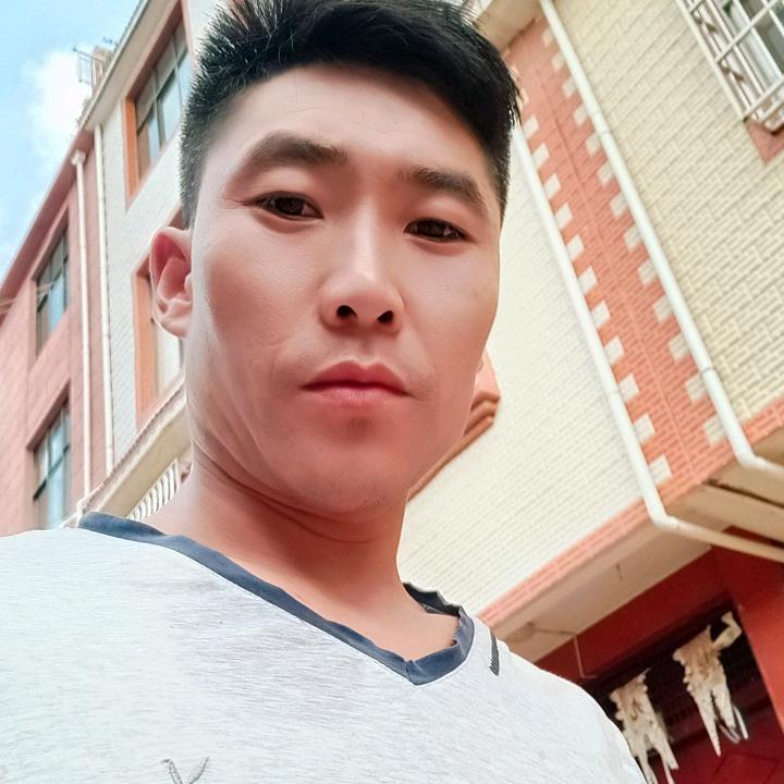 龙哥