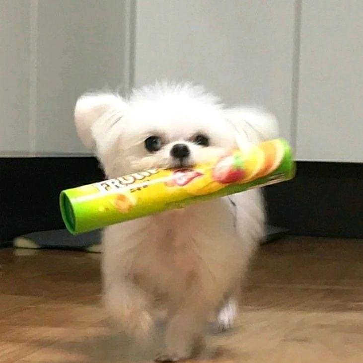 我爱蛋挞