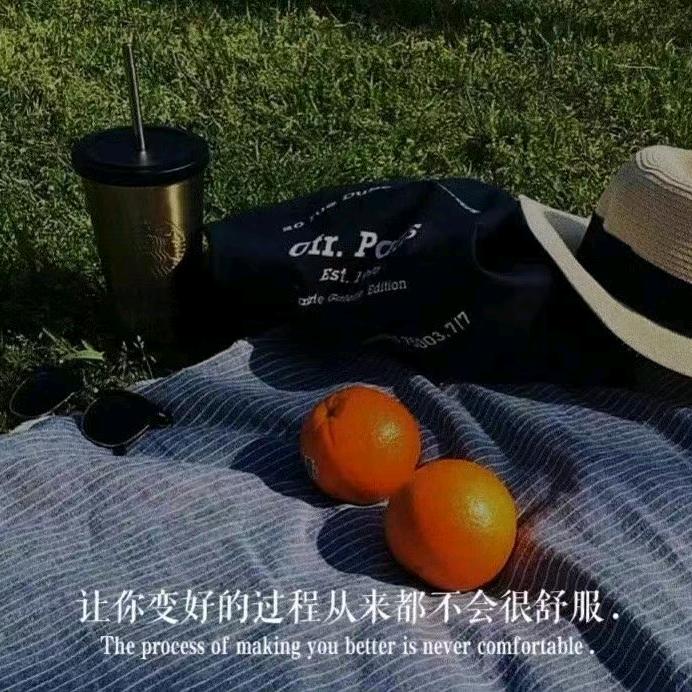 桀杰孑洁