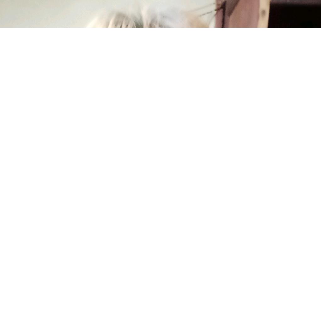 杨晓秀