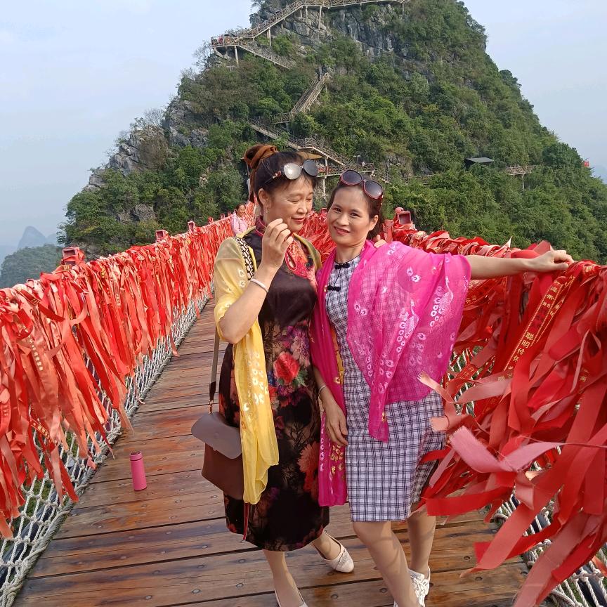 60198920331梅子旅游