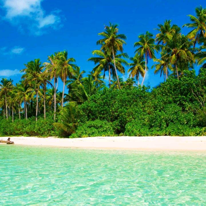 扎巴🌴斗地主