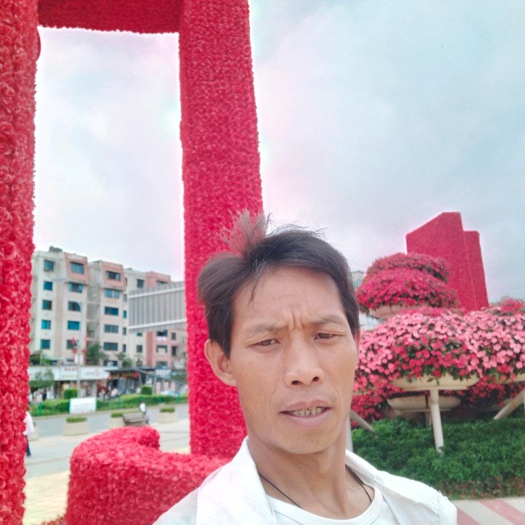 彦军电影视频