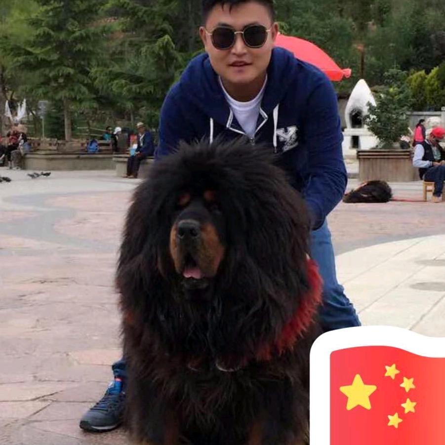 奇哥