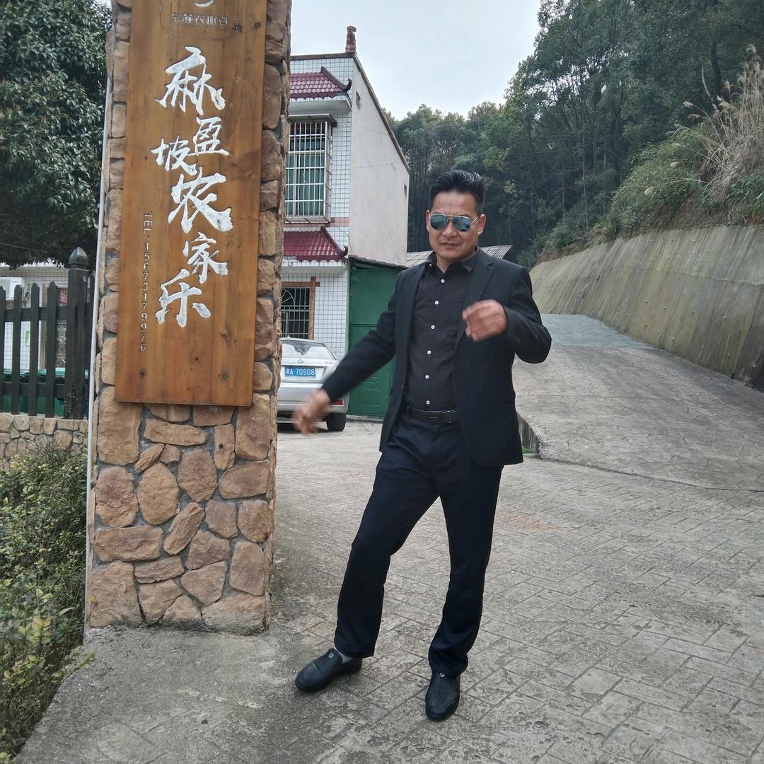 燕子飞飞