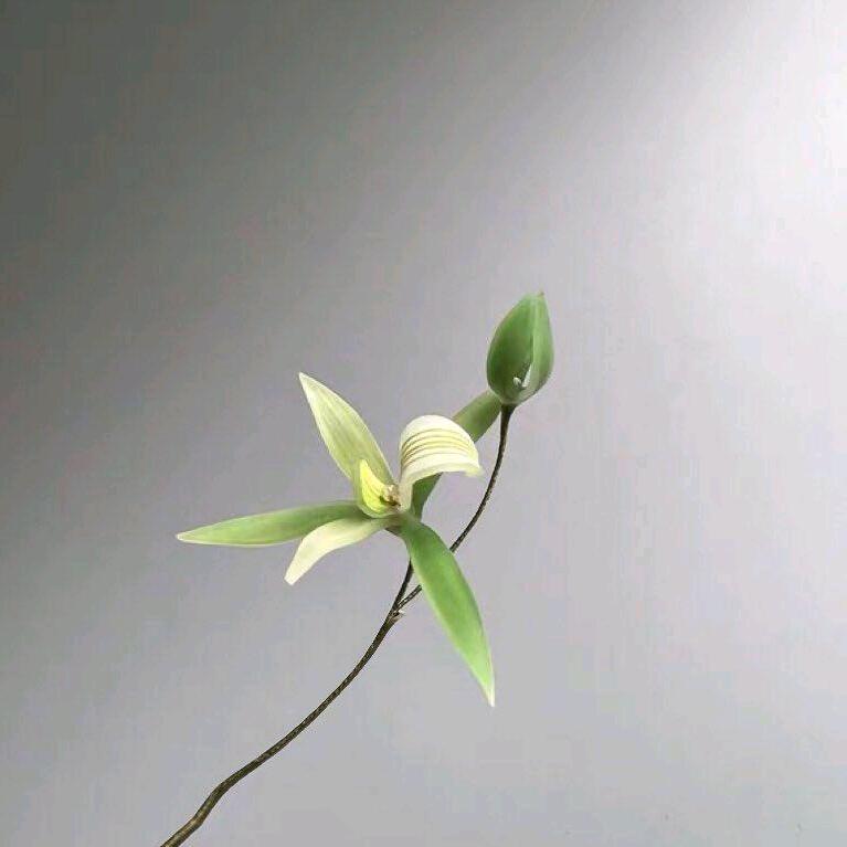 兰溪花涧
