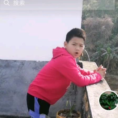 qinbao