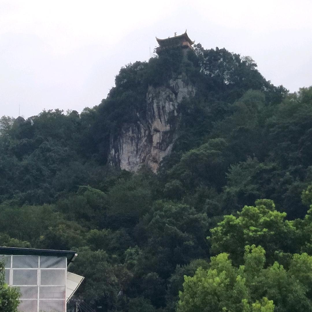 快乐叔