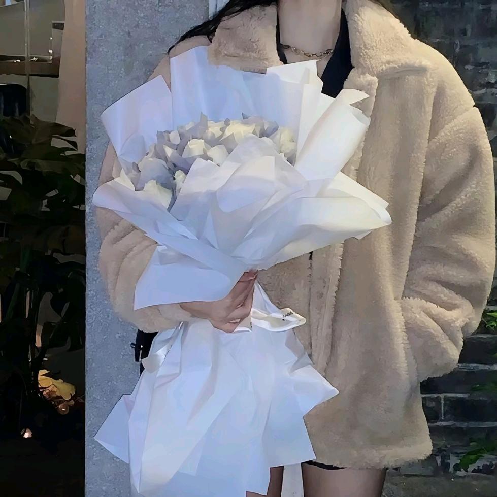 柒柒