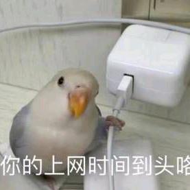 爱上嫂子后与其私奔被老婆和哥哥吊起来抽