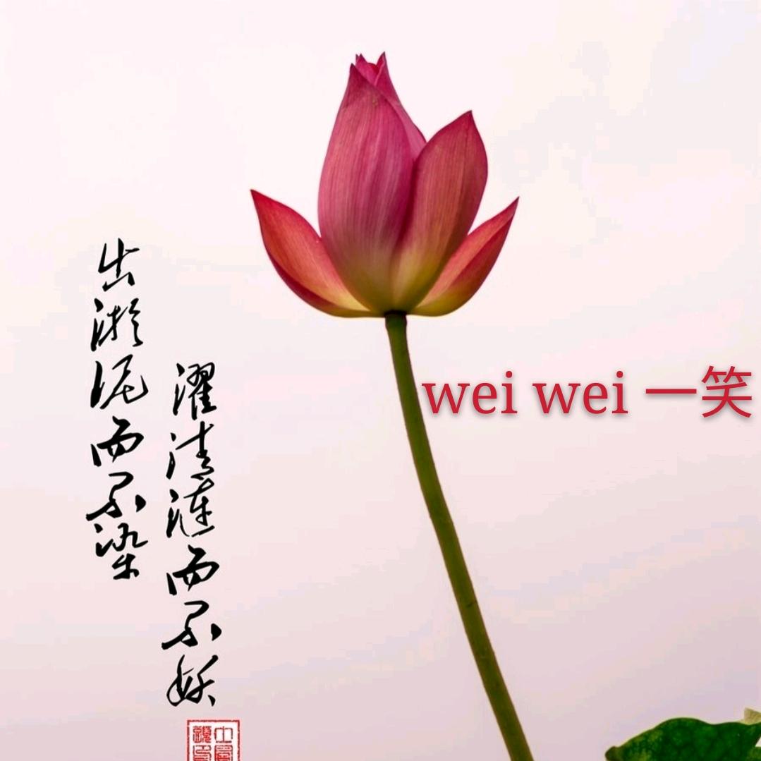 wei wei 一笑
