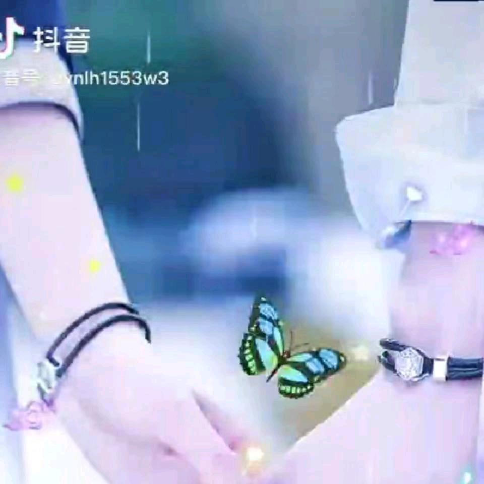 美好的回忆       :根登