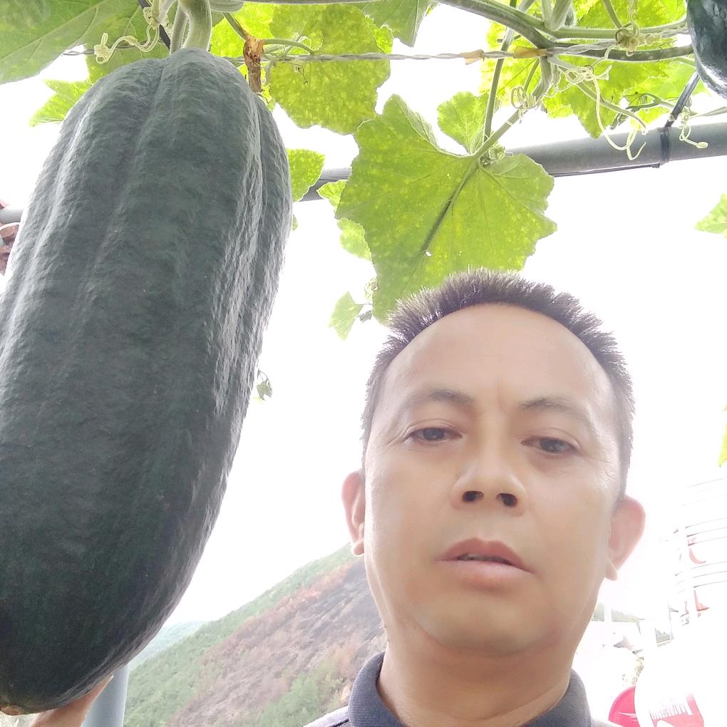 正远石蛙养殖。