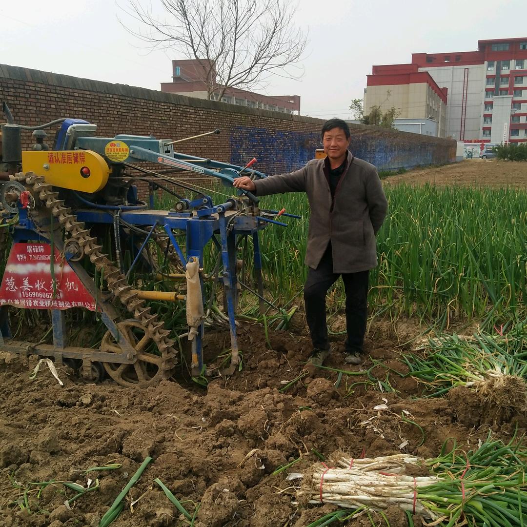 大葱交易王永搞