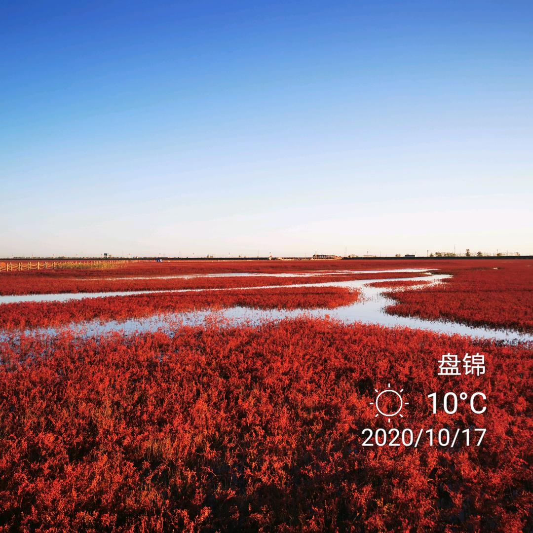 大洼区于家小院