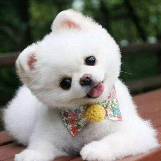 笑口常开好运连连