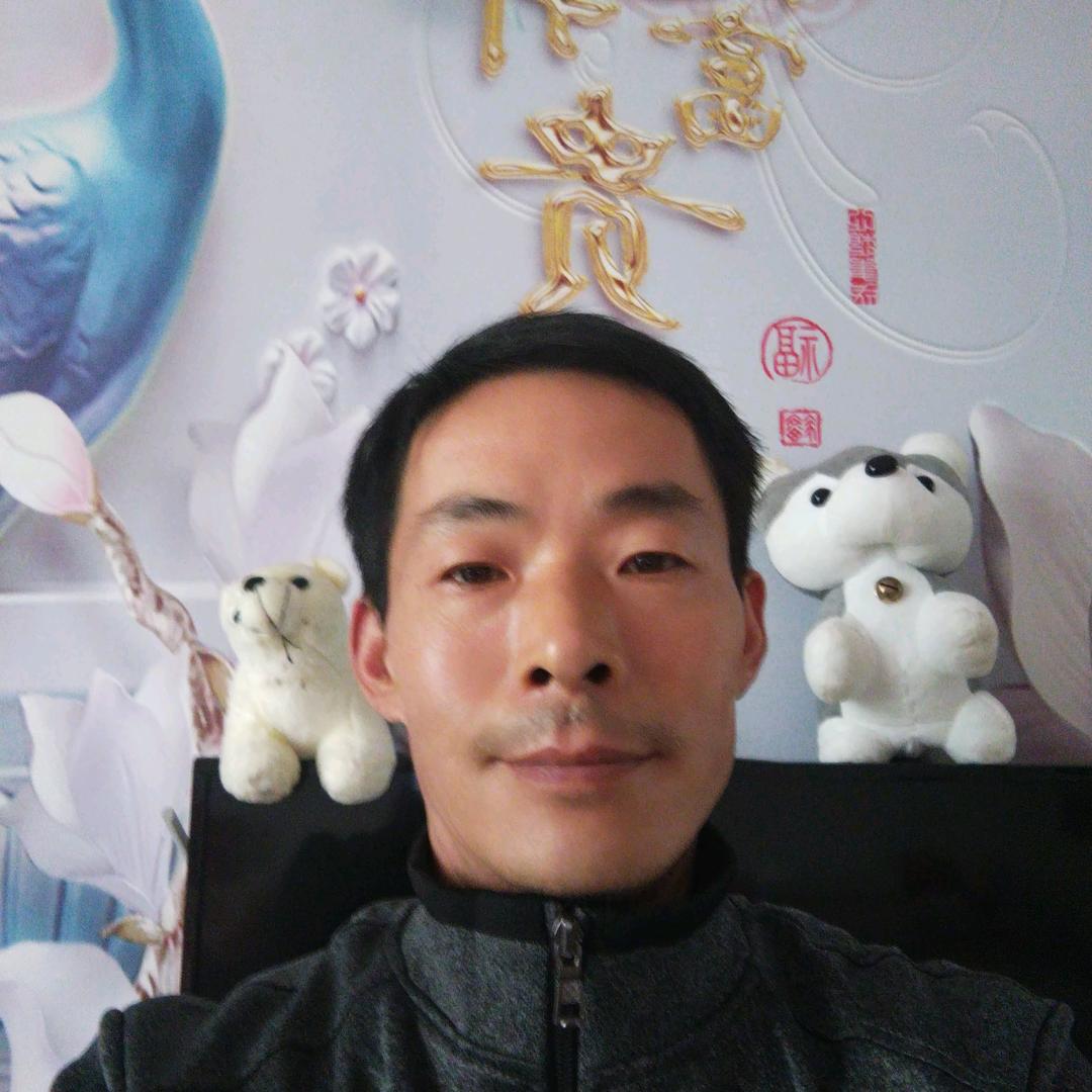 自由与风