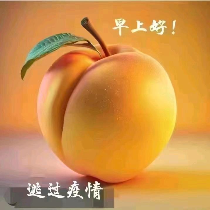 北漂老顽童