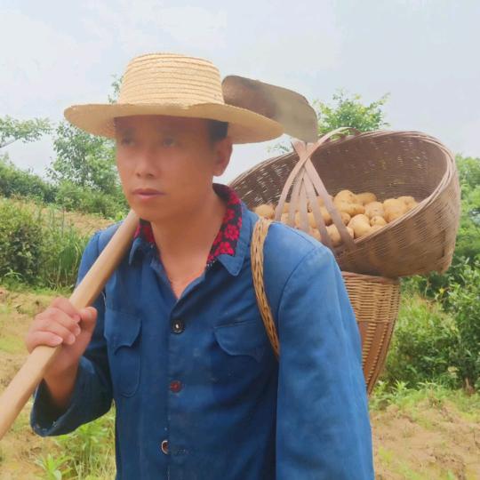 老实哥一家人@抖音