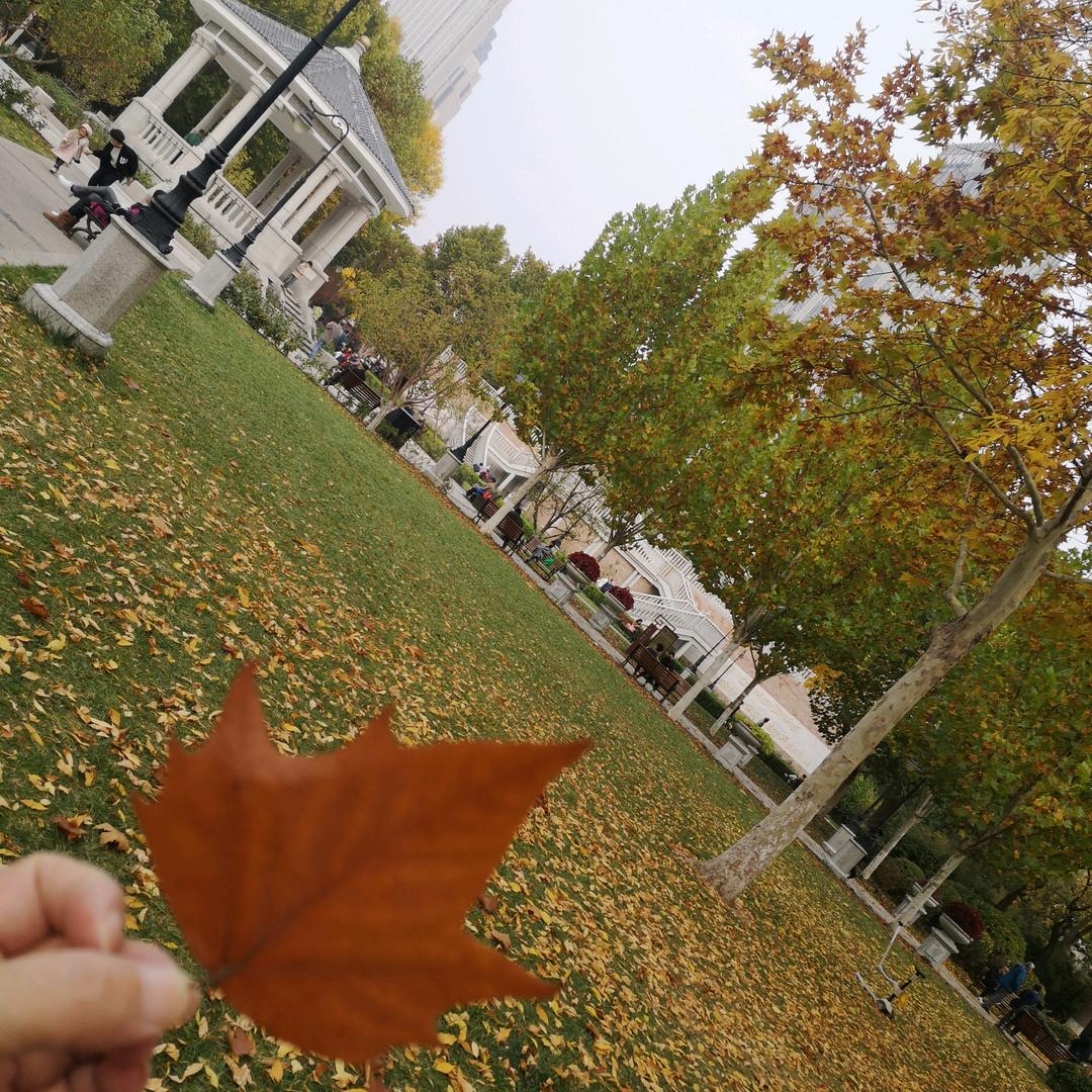 越来越好🍎🐎