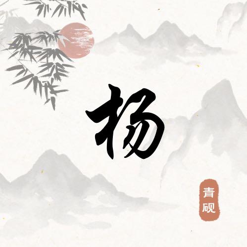 杨某人