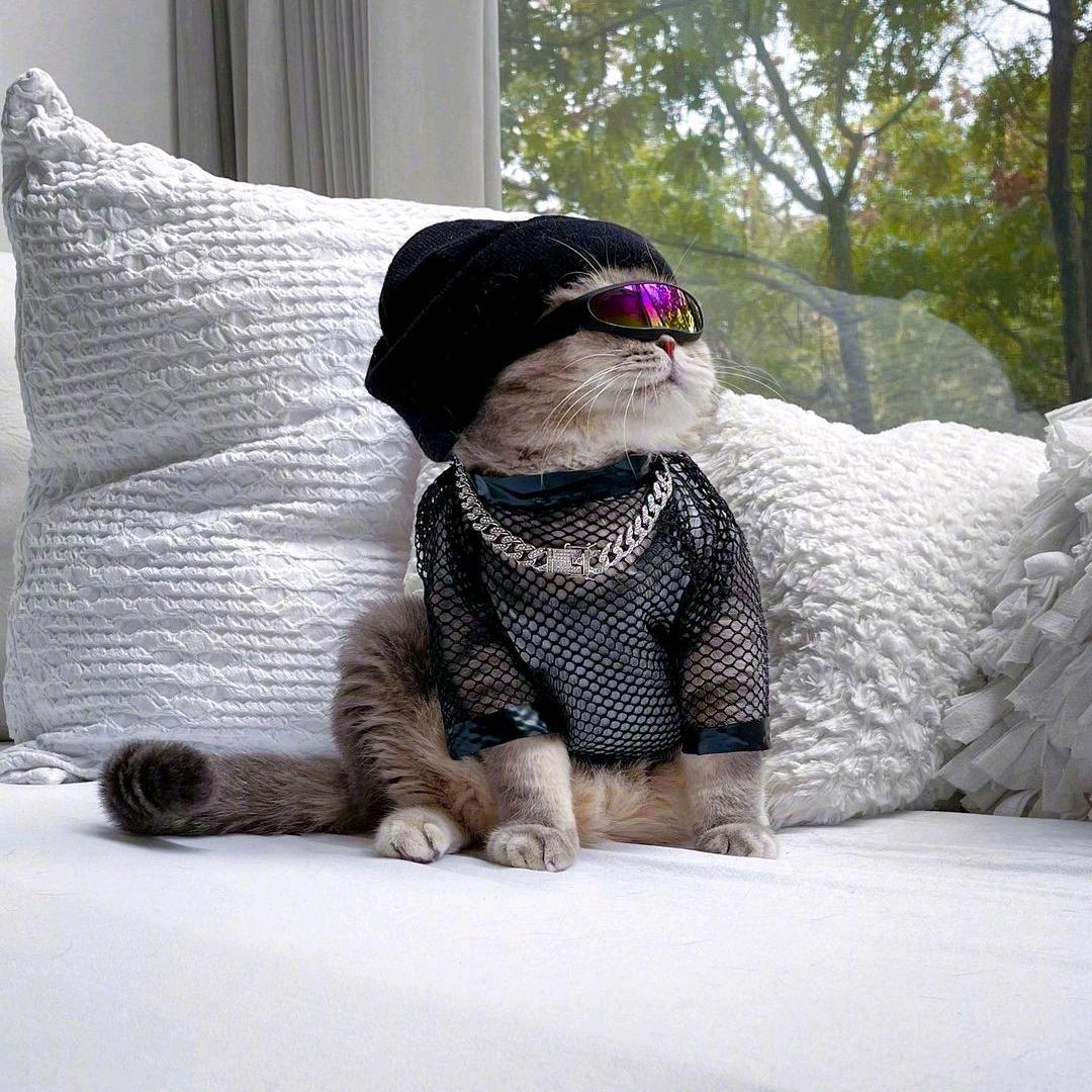 。。  。。